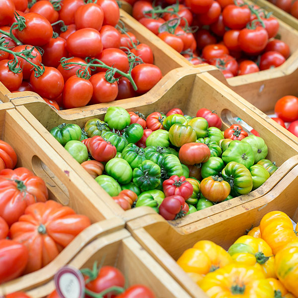 fruits-legumes-sq